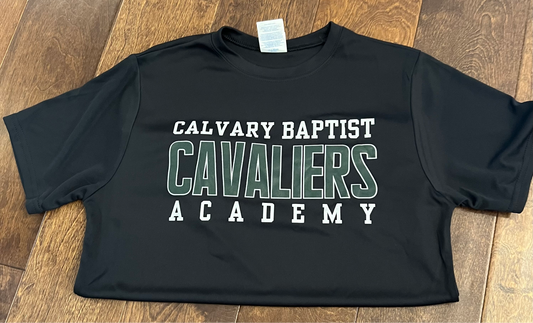 Calvary - Performance