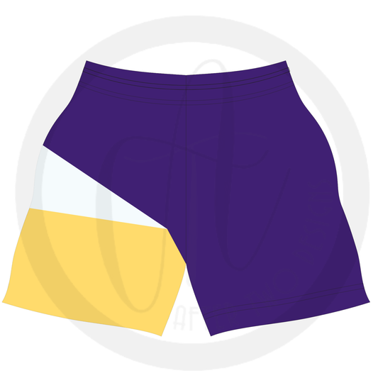 Colorblock shorts PRESALE
