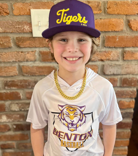 Benton Baseball Hoodie