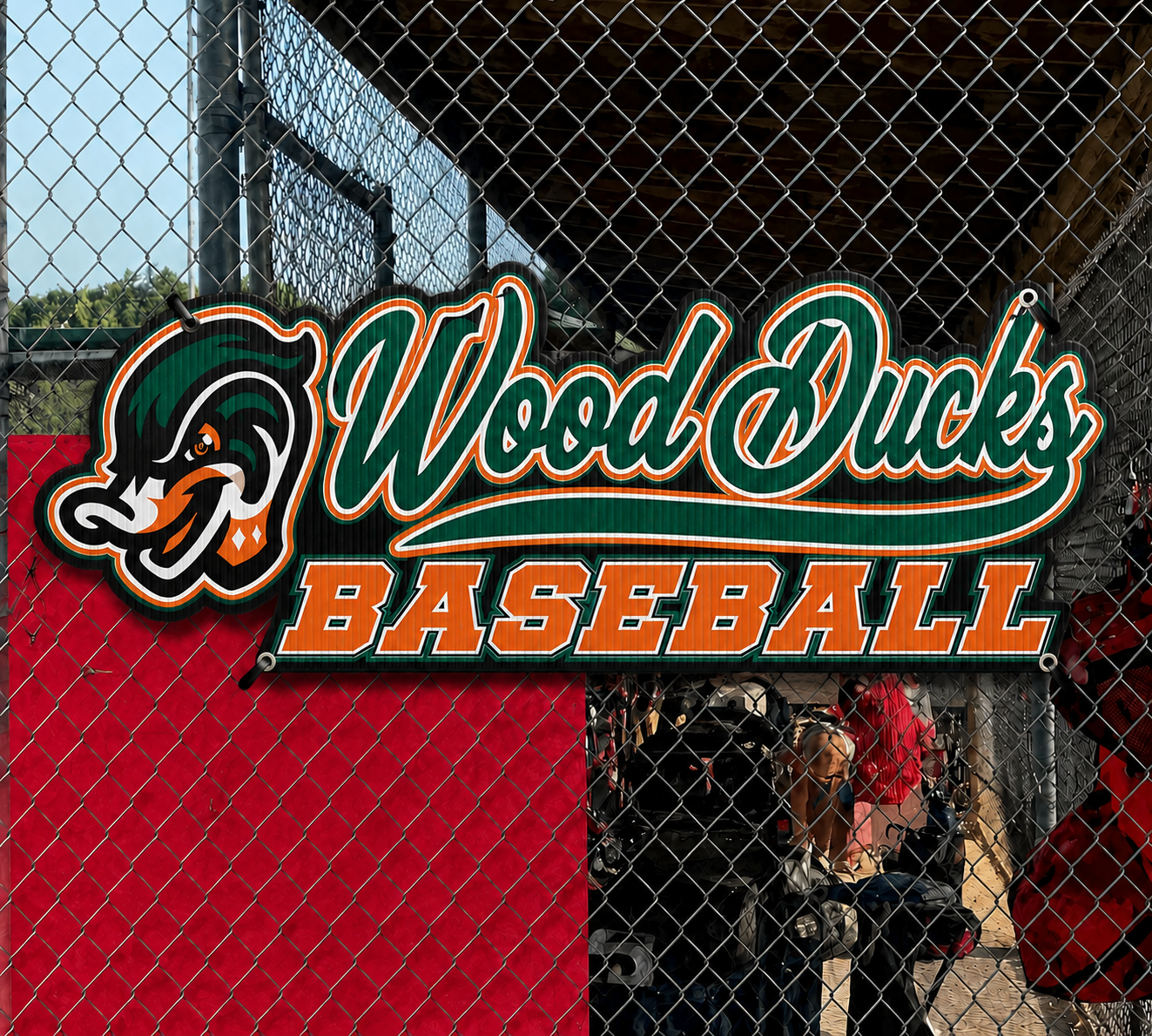 Team Name+Logo Dugout Sign - MTO
